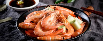 ​虾是两栖动物吗