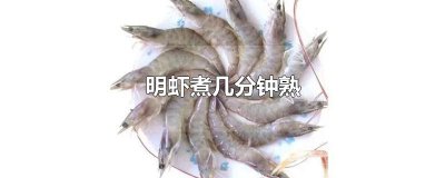 ​明虾煮几分钟熟