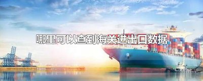 ​哪里可以查到海关进出口数据