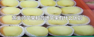 ​黄金帅苹果和普通苹果有什么区别