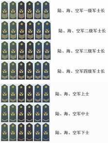 士官军衔与服役年限对照表(2023最新士官军衔肩章)