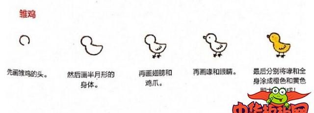 鸡简笔画，公鸡简笔画图片涂色？图5