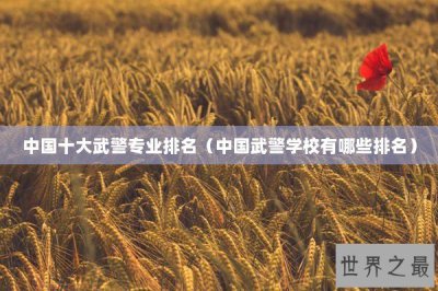 ​中国十大武警专业排名（中国武警学校有哪些排名）