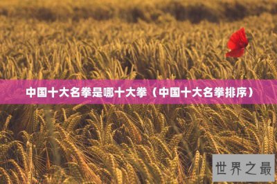 ​中国十大名拳是哪十大拳（中国十大名拳排序）