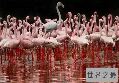 全球十大最美湖泊，这一辈子一定把中国的湖泊去一遍