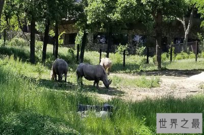 ​世界十大最佳动物园 奥马哈动物园上榜第七是野生动物园模式