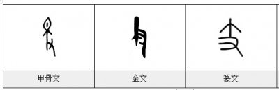 ​一个豆一个支念什么字（一个豆一个支念什么字儿）