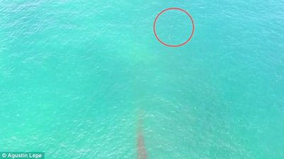 ​智利拉塞林娜地区北部南太平洋上拍摄到神秘“潜水UFO”