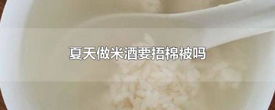 ​夏天做米酒要捂吗 夏天做酒酿需要棉被挂捂吗