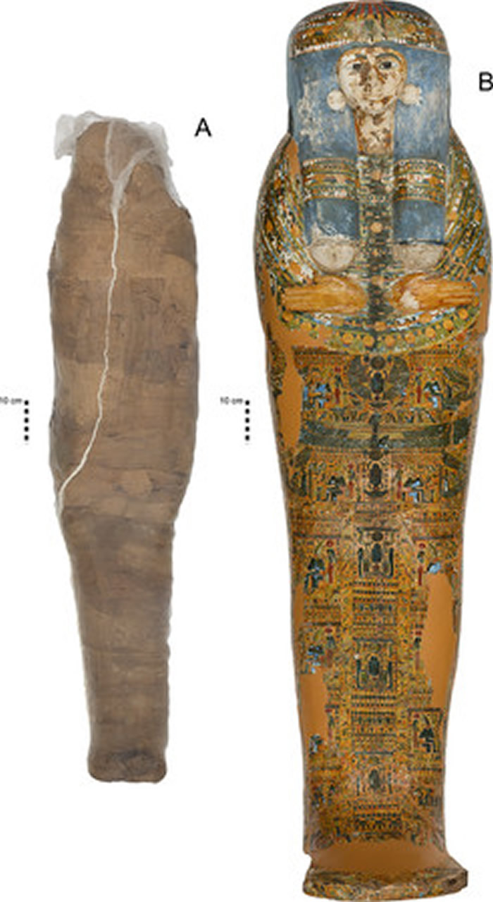 研究人员发现世界首具以泥土包覆的木乃伊 距今约3400年前