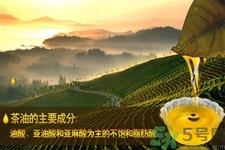 茶油的功效与作用 茶油的药物功效