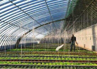 ​中国十大蔬菜种植基地：寿光最出名！