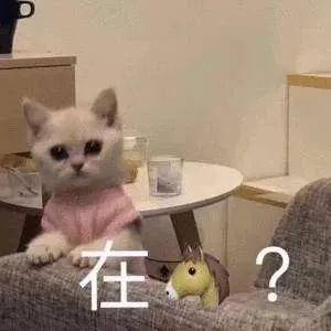 和男友撒娇的表情包 | 电死你个小可爱