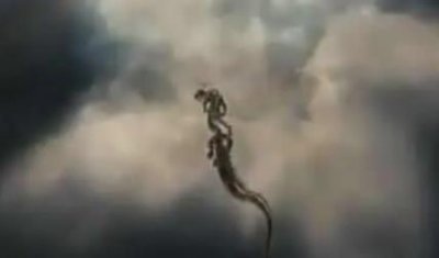 ​未解之谜：死婴怎么处理？死婴处理制度