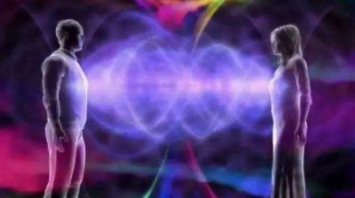 ​世界上最大的茄子 世界上最大的茄子跟最小的