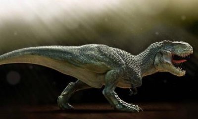 ​鸟面龙：蒙古小型恐龙最小仅60厘米 第4种有羽恐龙
